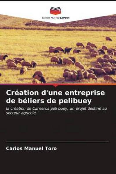 Création d’une entreprise de béliers de pelibuey