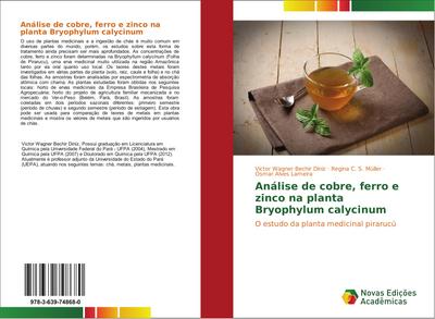 Análise de cobre, ferro e zinco na planta Bryophylum calycinum