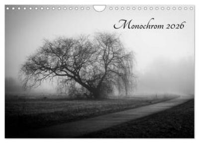 Monochrom 2026 (Wandkalender 2026 DIN A4 quer), CALVENDO Monatskalender