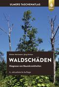 Waldschäden