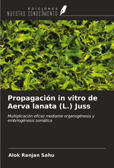 Propagación in vitro de Aerva lanata (L.) Juss