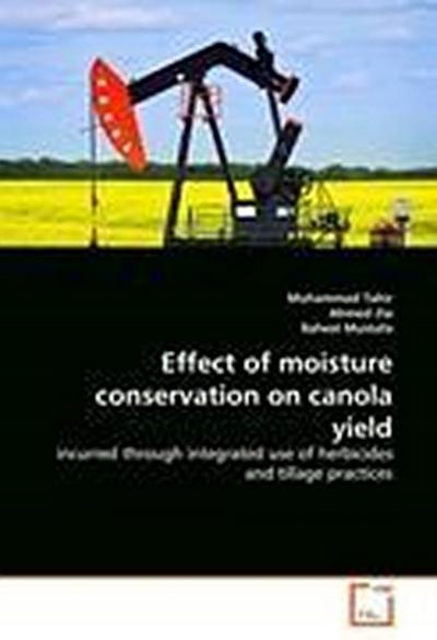 Effect of moisture conservation on canola yield