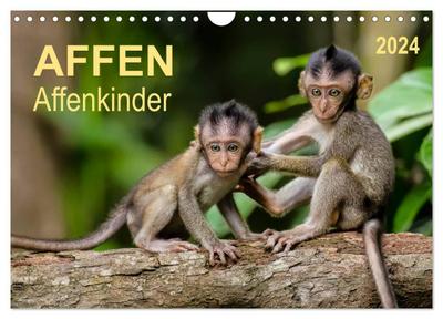 Affen - Affenkinder (Wandkalender 2024 DIN A4 quer), CALVENDO Monatskalender