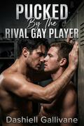 Pucked By The Rival Gay Player