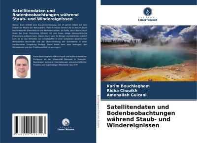 Satellitendaten und Bodenbeobachtungen während Staub- und Windereignissen
