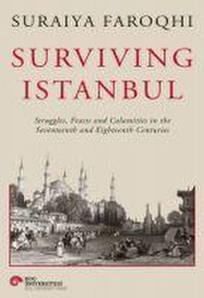 Surviving Istanbul