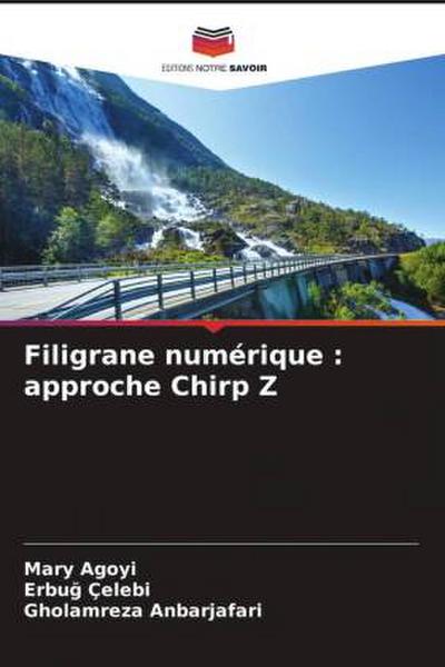 Filigrane numérique : approche Chirp Z