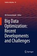 Big Data Optimization: Recent Developments and Cha