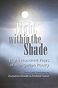 Light within the Shade