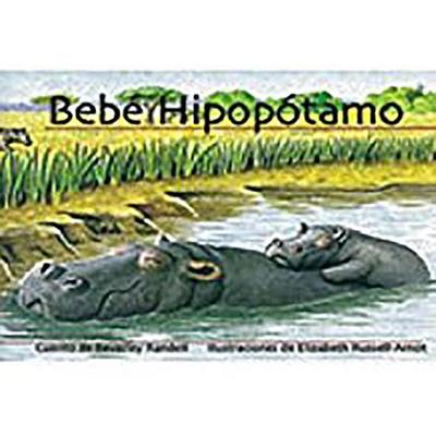 Bebe Hipopotamoaby Hippo): Bookroom Package (Levels 6-8)