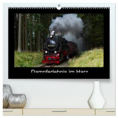 Dampferlebnis im Harz (hochwertiger Premium Wandkalender 2026 DIN A2 quer), Kunstdruck in Hochglanz