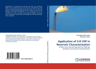 Application of 3-D VSP in Reservoir Characterization