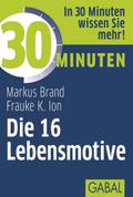 30 Minuten Die 16 Lebensmotive