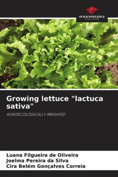 Growing lettuce "lactuca sativa"