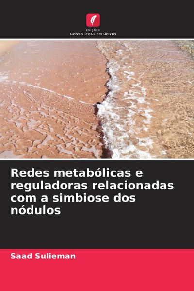 Redes metabólicas e reguladoras relacionadas com a simbiose dos nódulos