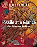 Fossils at a Glance