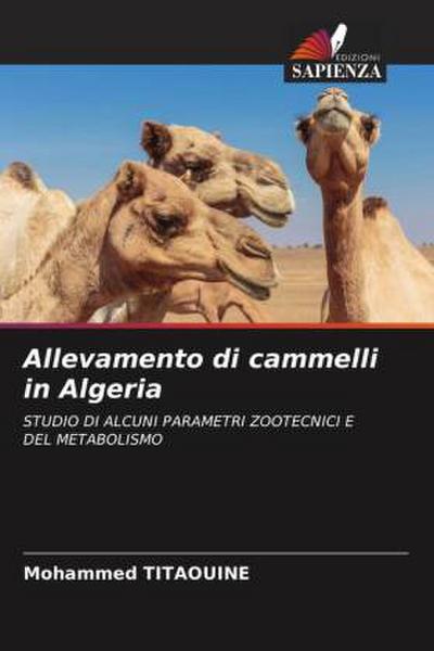 Allevamento di cammelli in Algeria