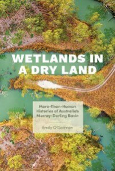 Wetlands in a Dry Land