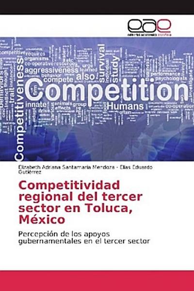 Competitividad regional del tercer sector en Toluca, México