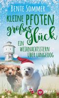 Kleine Pfoten, großes Glück – Ein Weihnachtsstern über Langeoog