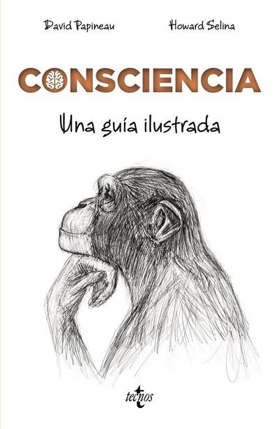 Consciencia : una guía ilustrada