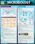 Microbiology