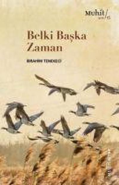 Belki Baska Zaman