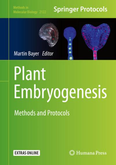 Plant Embryogenesis