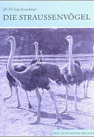 Die Straußenvögel