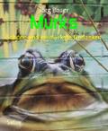 Murks