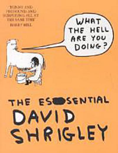 What The Hell Are You Doing?: The Essential David Shrigley