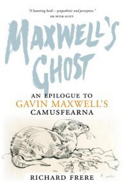 Maxwell’s Ghost