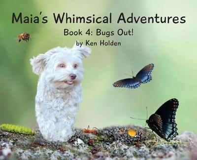 Maia’s Whimsical Adventures
