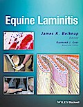 Equine Laminitis