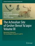 The Acheulian Site of Gesher Benot  Ya’aqov  Volume III