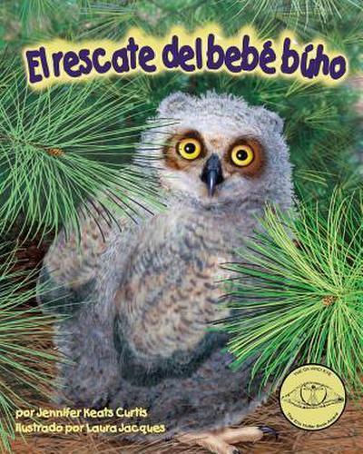 El Rescate del Bebé Búho (Baby Owl’s Rescue)