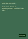 Die indische Cholera im Regierungsbezirke Zwickau im Jahre 1866