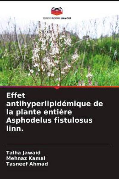 Effet antihyperlipidémique de la plante entière Asphodelus fistulosus linn.