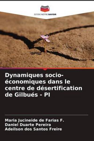 Dynamiques socio-économiques dans le centre de désertification de Gilbués - PI