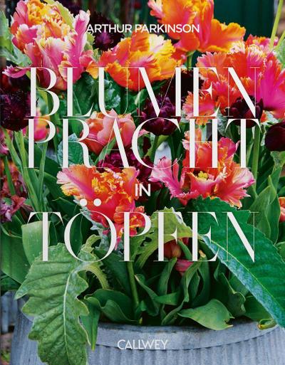 Blumenpracht in Töpfen