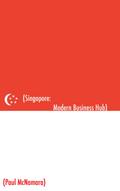 Singapore Modern Business Hub: A Mini Guide