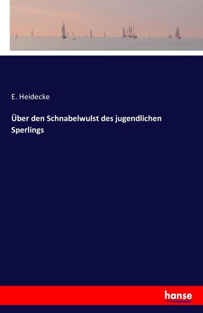 Über den Schnabelwulst des jugendlichen Sperlings 