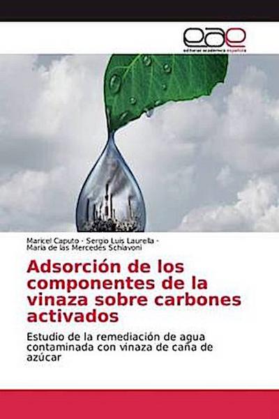 Adsorción de los componentes de la vinaza sobre carbones activados