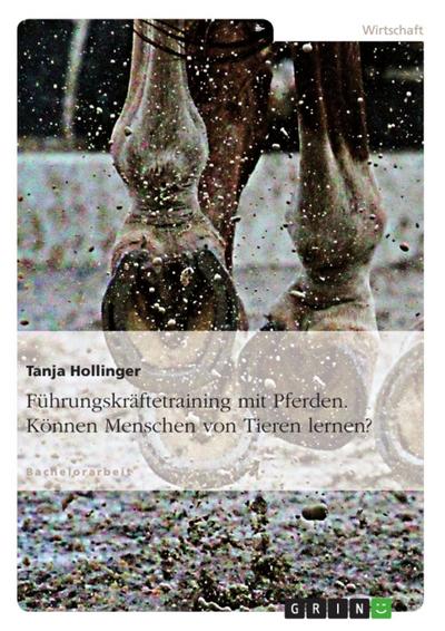 Kompetenzentwicklung im Rahmen von Führungskräftetrainings mit Pferden