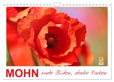 The Logike of the Most Excellent Philosopher P. Ramus Martyr