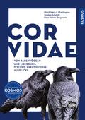 Corvidae