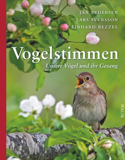 Vogelstimmen: Unsere Vögel und ihr Gesang