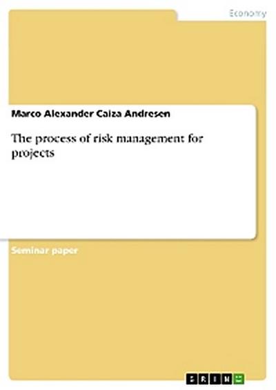 The process of risk management for projects