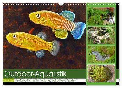Outdoor-Aquaristik (Wandkalender 2026 DIN A3 quer), CALVENDO Monatskalender