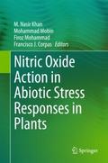 Nitric Oxide Action in Abiotic Stress Responses in